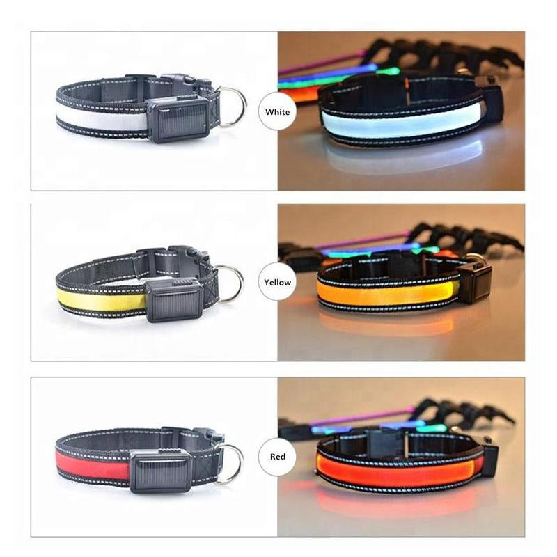 USB and Solar Charge Reflective Led Dog Collar