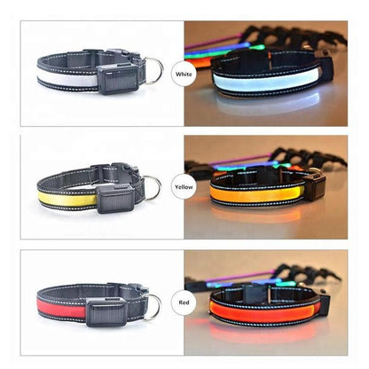 USB and Solar Charge Reflective Led Dog Collar