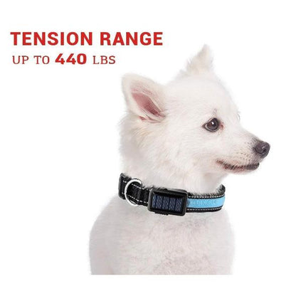 USB and Solar Charge Reflective Led Dog Collar