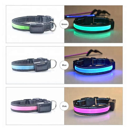 USB and Solar Charge Reflective Led Dog Collar