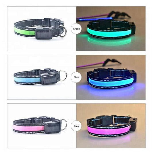 USB and Solar Charge Reflective Led Dog Collar