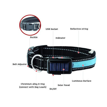 USB and Solar Charge Reflective Led Dog Collar