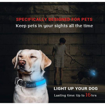 USB and Solar Charge Reflective Led Dog Collar